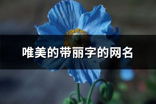 唯美的带丽字的网名(126个)