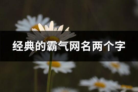经典的霸气网名两个字(优选2446个)