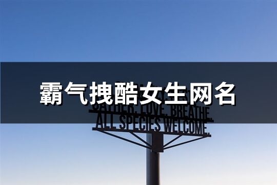 霸气拽酷女生网名(精选225个)