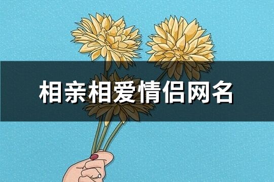 相亲相爱情侣网名(精选205个)