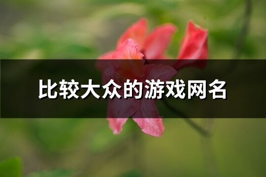 比较大众的游戏网名(473个)