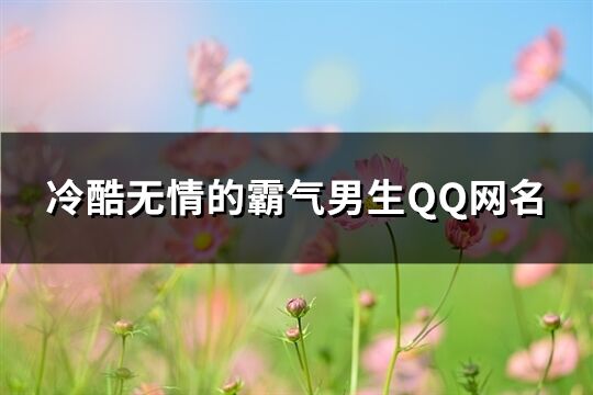 冷酷无情的霸气男生QQ网名(精选622个)