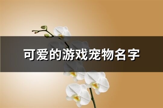 可爱的游戏宠物名字(精选200个)