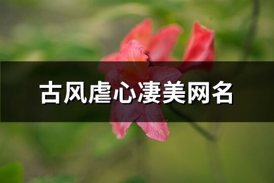 古风虐心凄美网名(精选207个)