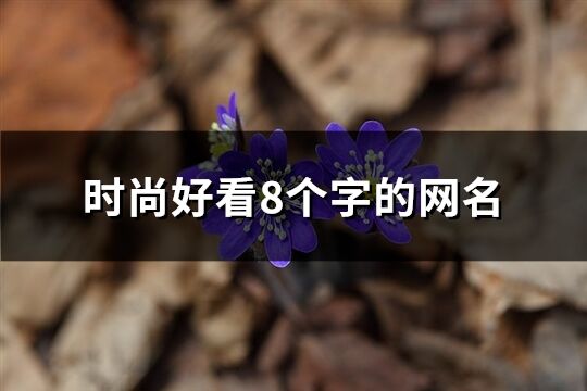 时尚好看8个字的网名(1015个)