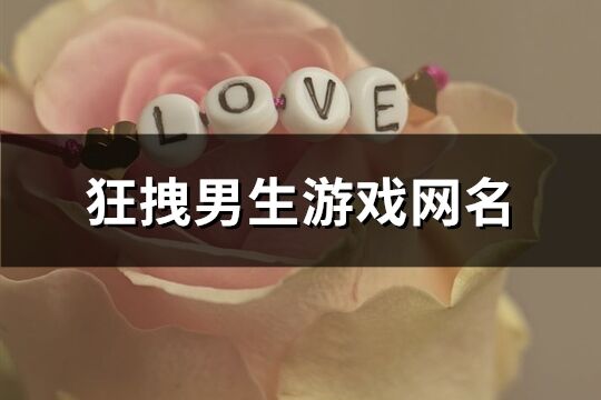 狂拽男生游戏网名(精选519个)