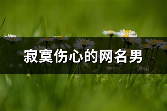 寂寞伤心的网名男(精选192个)