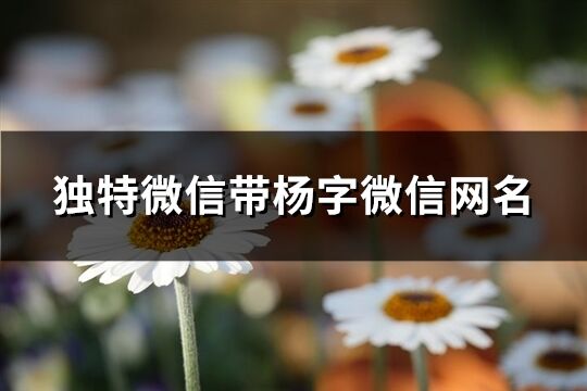 独特微信带杨字微信网名(精选218个)