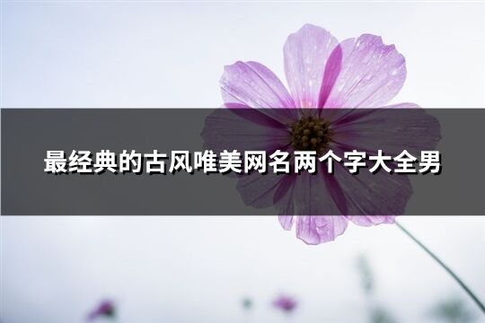 最经典的古风唯美网名两个字大全男(148个)