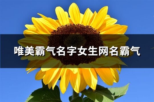 唯美霸气名字女生网名霸气(优选125个)