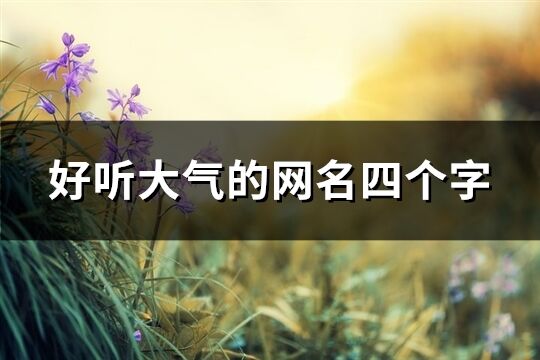 好听大气的网名四个字(108个)
