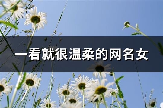 一看就很温柔的网名女(优选278个)