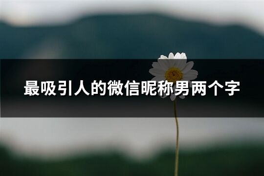 最吸引人的微信昵称男两个字(共230个)