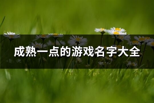 成熟一点的游戏名字大全(精选111个)