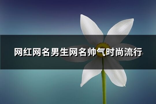 网红网名男生网名帅气时尚流行(优选229个)