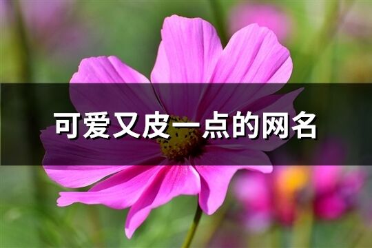 可爱又皮一点的网名(345个)