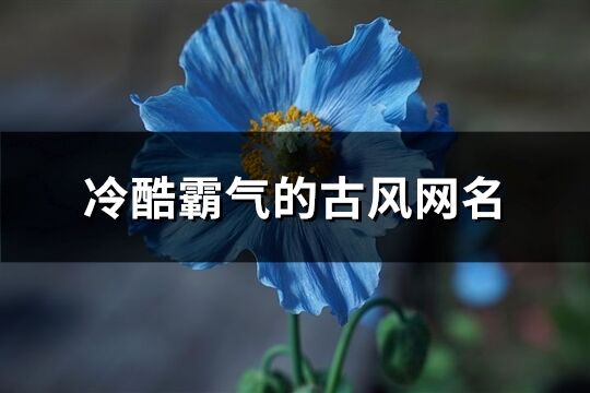 冷酷霸气的古风网名(优选348个)