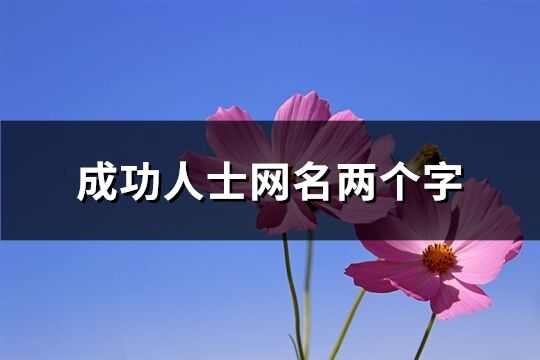成功人士网名两个字(268个)