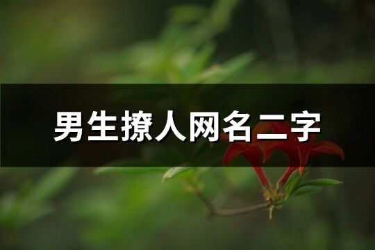 男生撩人网名二字(优选169个)