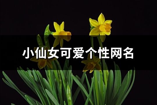 小仙女可爱个性网名(535个)