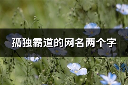 孤独霸道的网名两个字(精选134个)