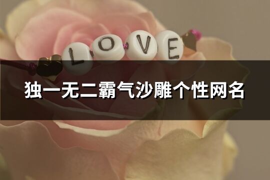 独一无二霸气沙雕个性网名(精选181个)