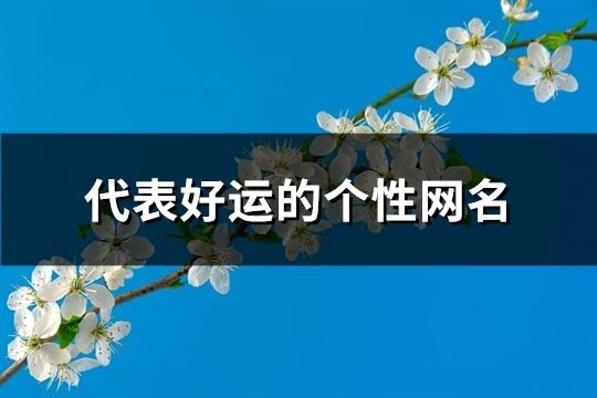 代表好运的个性网名(596个)