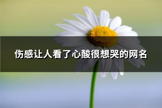 伤感让人看了心酸很想哭的网名(精选569个)