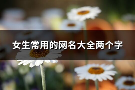 女生常用的网名大全两个字(共1984个)