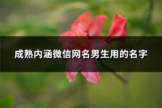 成熟内涵微信网名男生用的名字(精选360个)