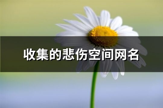 收集的悲伤空间网名(共341个)
