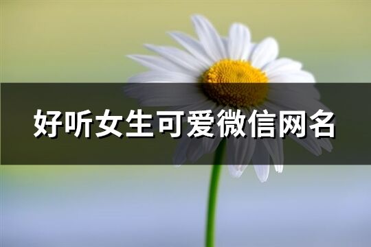 好听女生可爱微信网名(294个)