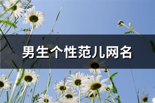 男生个性范儿网名(精选642个)