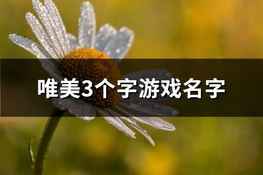 唯美3个字游戏名字(精选184个)