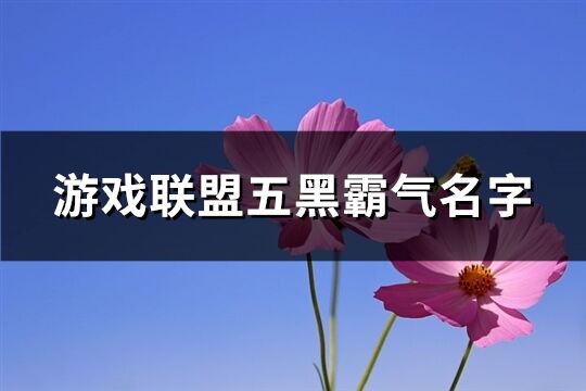 游戏联盟五黑霸气名字(共109个)
