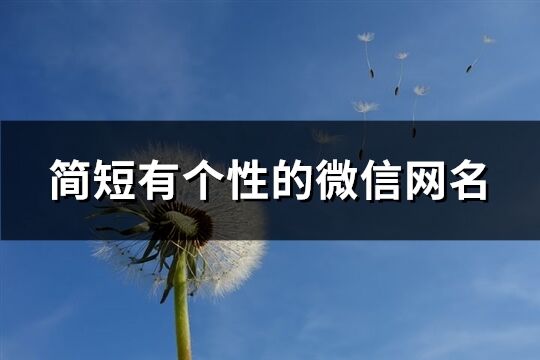 简短有个性的微信网名(686个)