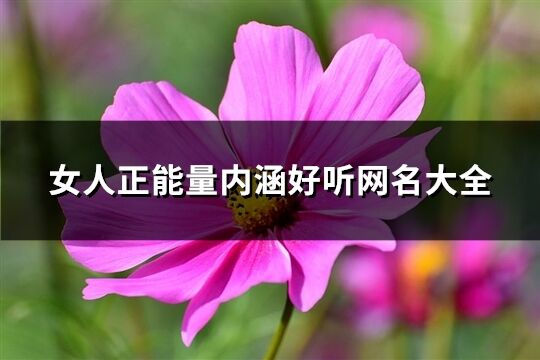 女人正能量内涵好听网名大全(优选256个)