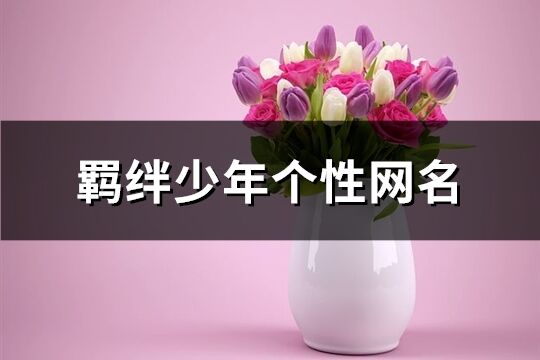 羁绊少年个性网名(179个)