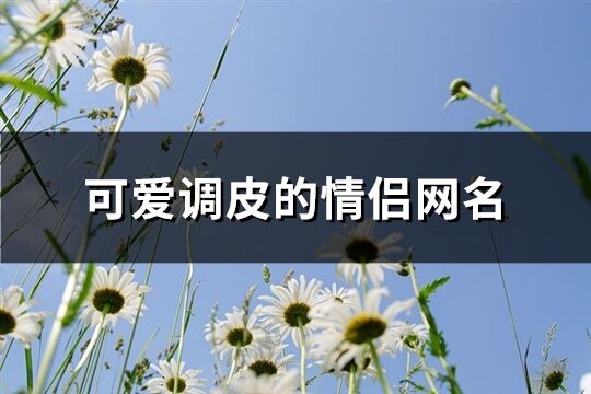 可爱调皮的情侣网名(共104个)