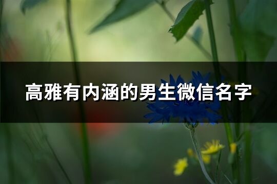 高雅有内涵的男生微信名字(共819个)