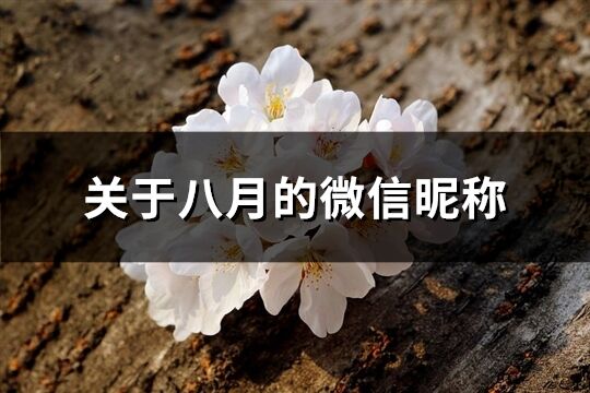 关于八月的微信昵称(优选370个)