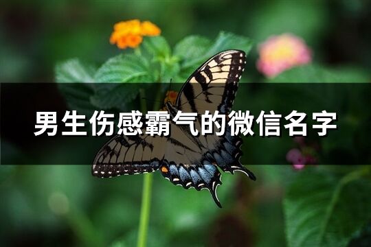 男生伤感霸气的微信名字(共1058个)