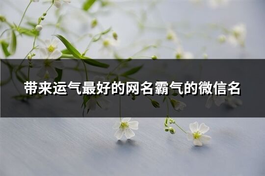 带来运气最好的网名霸气的微信名(731个)