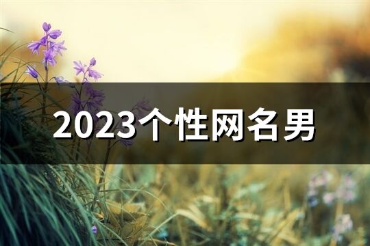 2023个性网名男(共928个)