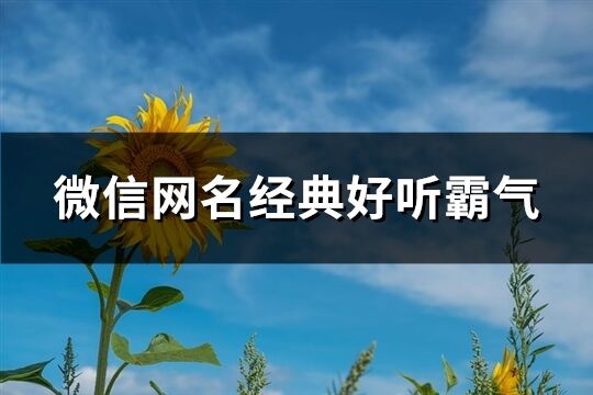 微信网名经典好听霸气(共722个)
