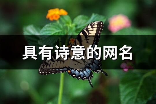 具有诗意的网名(409个)