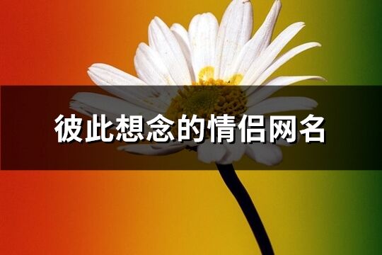 彼此想念的情侣网名(共114个)