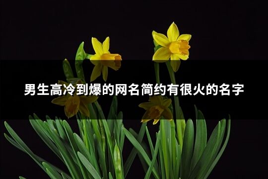 男生高冷到爆的网名简约有很火的名字(共268个)