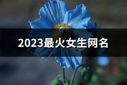 2023最火女生网名(1658个)