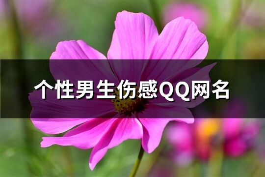 个性男生伤感QQ网名(优选538个)